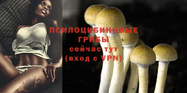 твердый Новозыбков