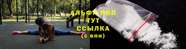 твердый Новозыбков