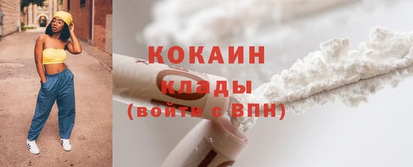 хмурый Нея