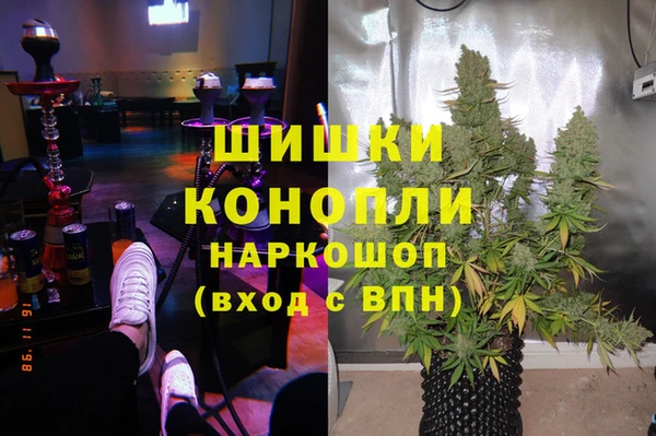 хмурый Нея