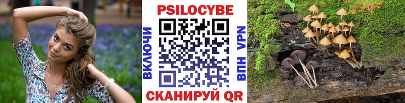 OMG сайт  цена наркотик  Калач  Псилоцибиновые грибы MAGIC MUSHROOMS 
